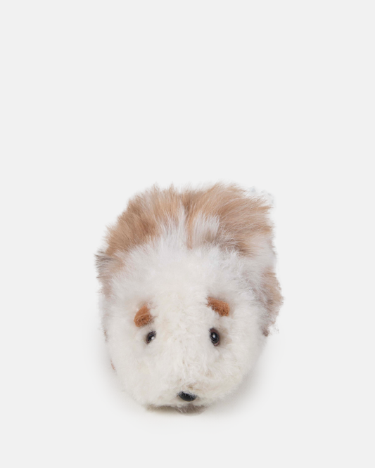 Alpaca Guinea Pig