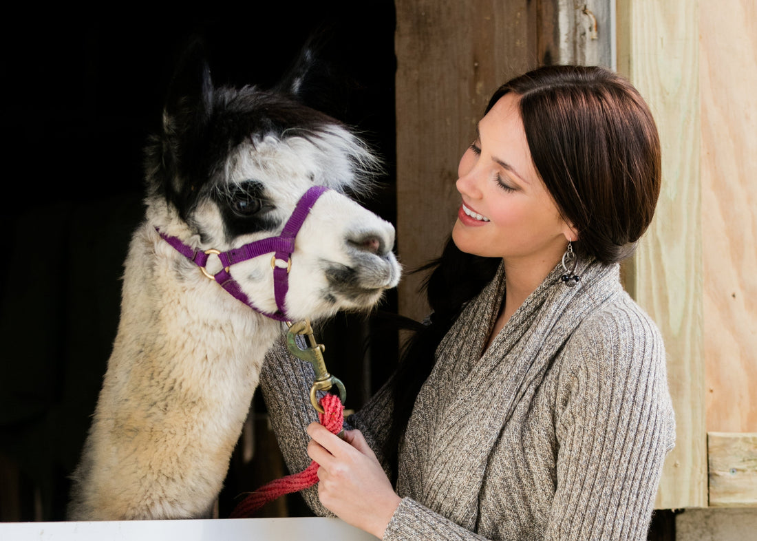 Why Alpaca Wool Is More Than Just Cozy: Health Benefits You Should Know