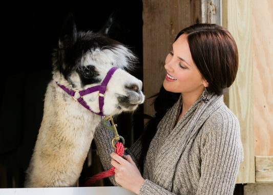 Why Alpaca Wool Is More Than Just Cozy: Health Benefits You Should Know