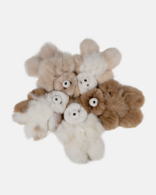 Alpaca Bear
