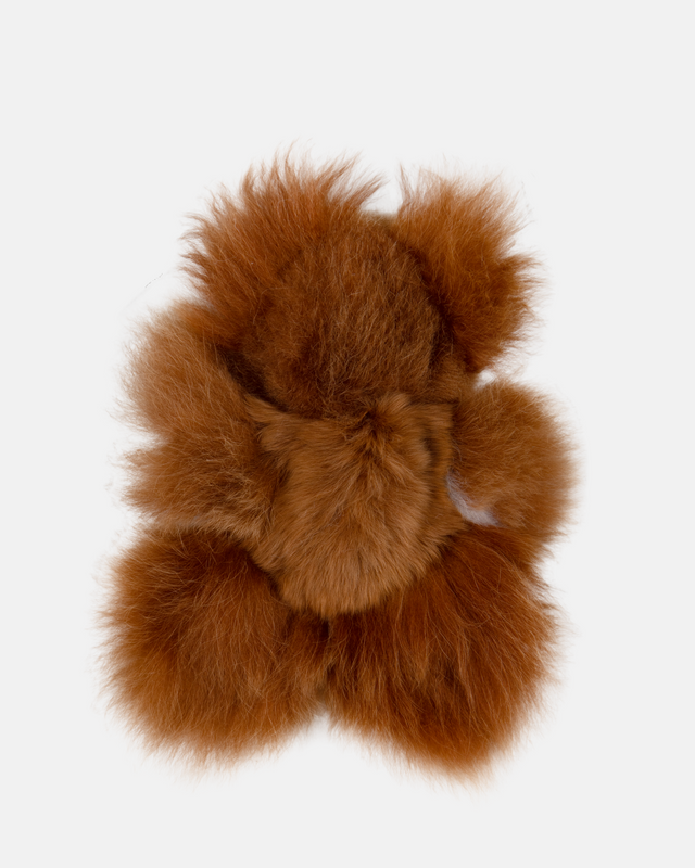 Alpaca Bear
