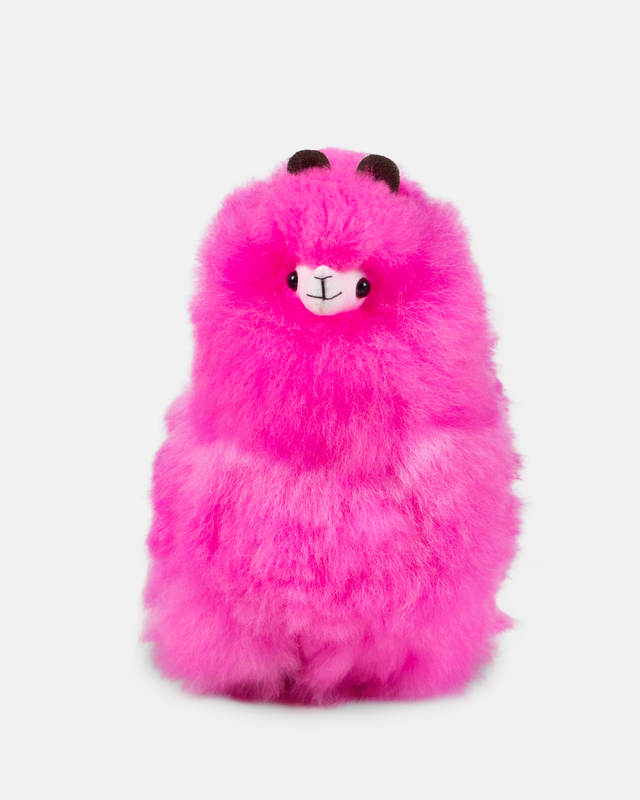 Fuchsia