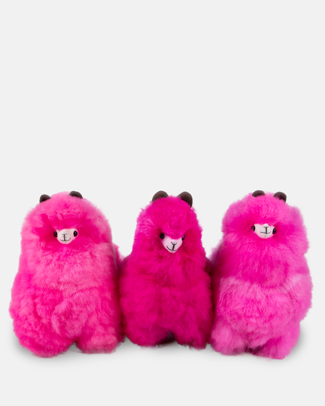 Colored Standing Alpaca