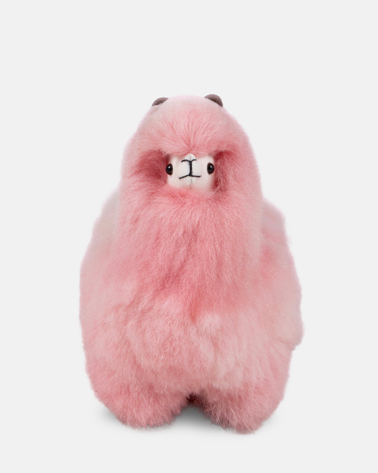 Colored Standing Alpaca