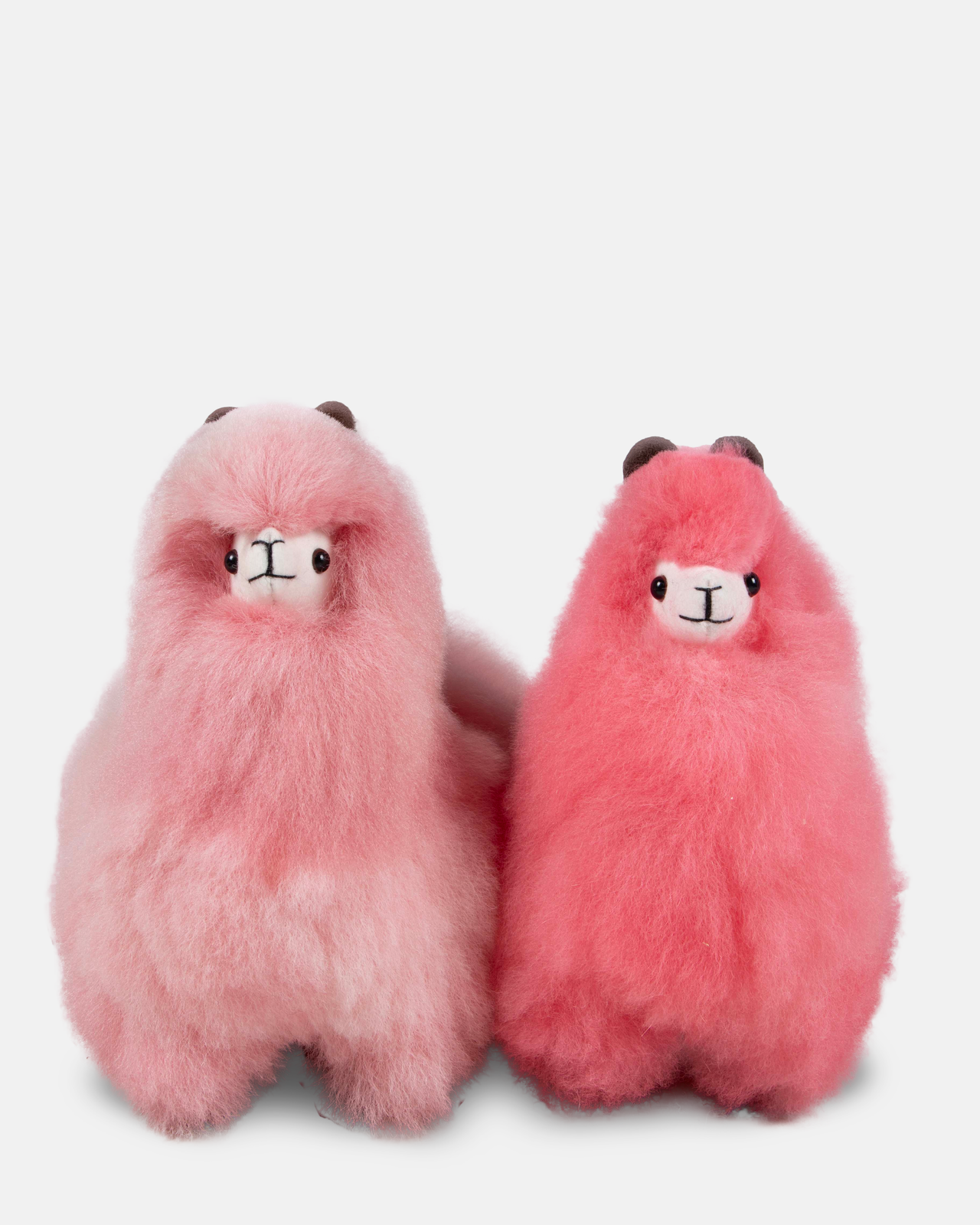 Colored Standing Alpaca