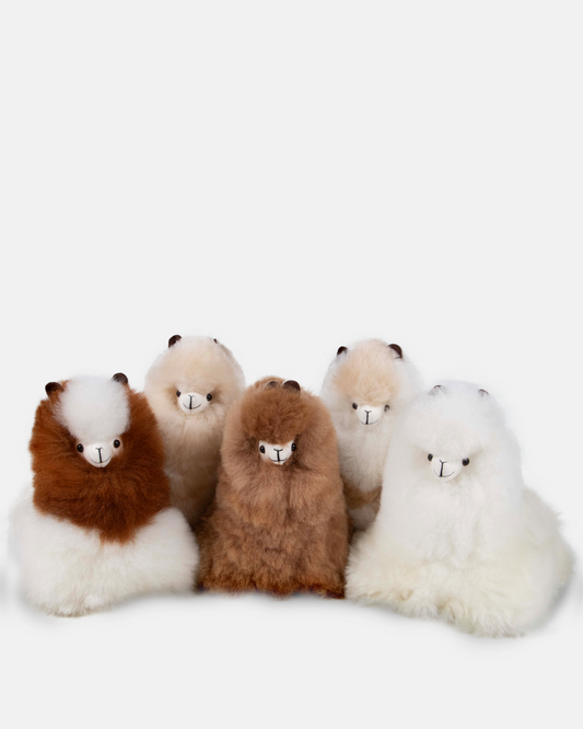 Laying Alpaca