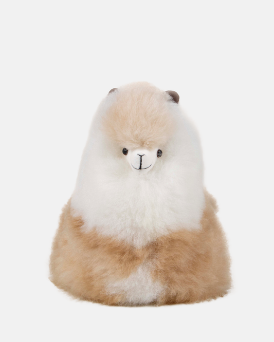 Laying Alpaca