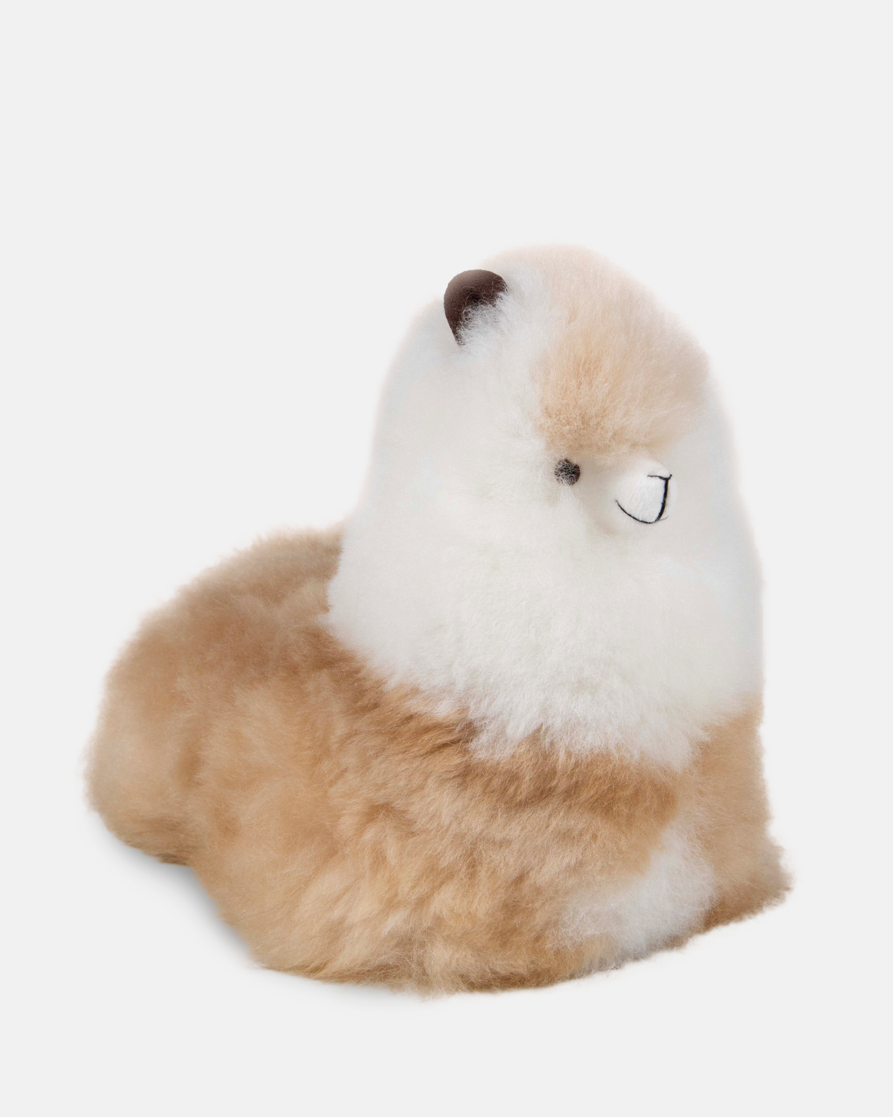 Laying Alpaca
