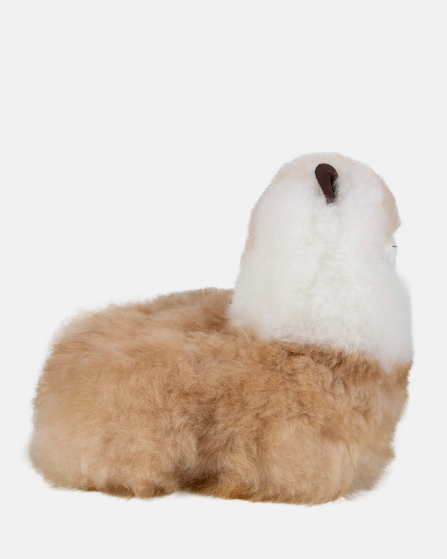 Laying Alpaca