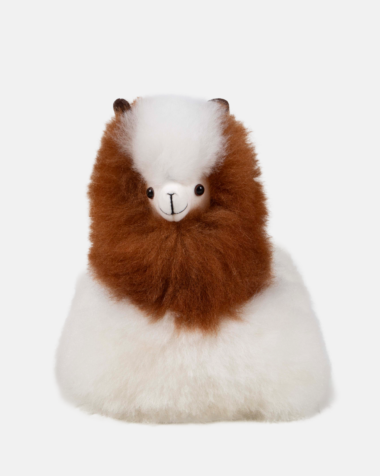 Laying Alpaca