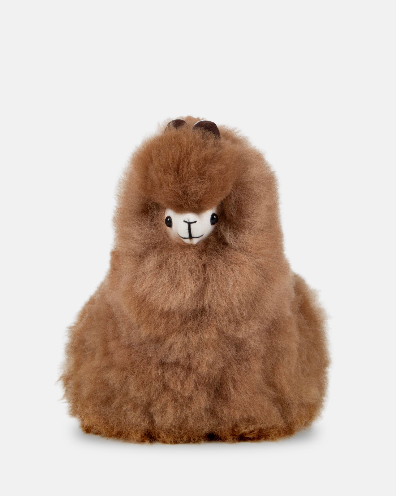 Laying Alpaca