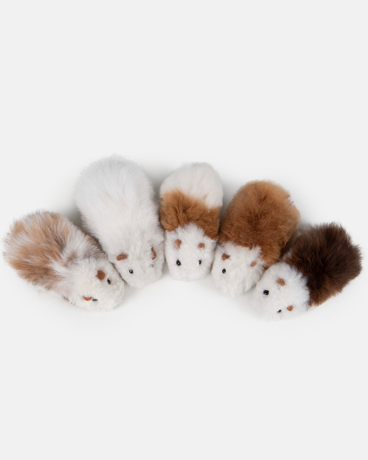 Alpaca Guinea Pig