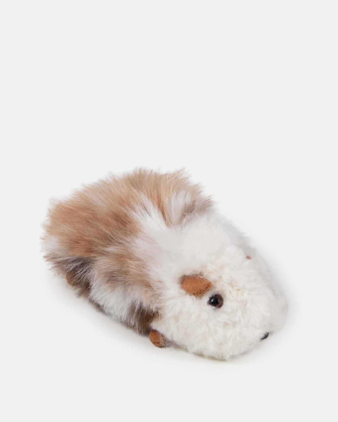 Alpaca Guinea Pig