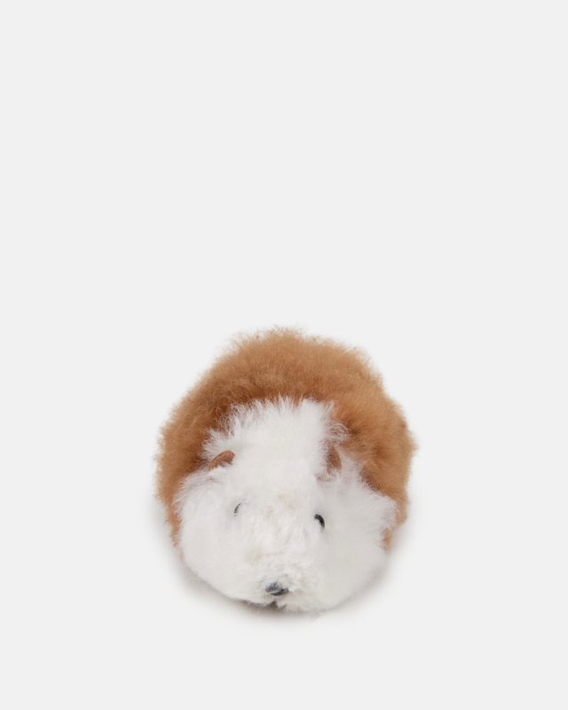 Alpaca Guinea Pig