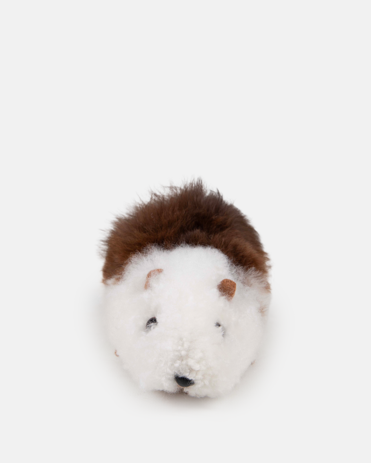 Alpaca Guinea Pig