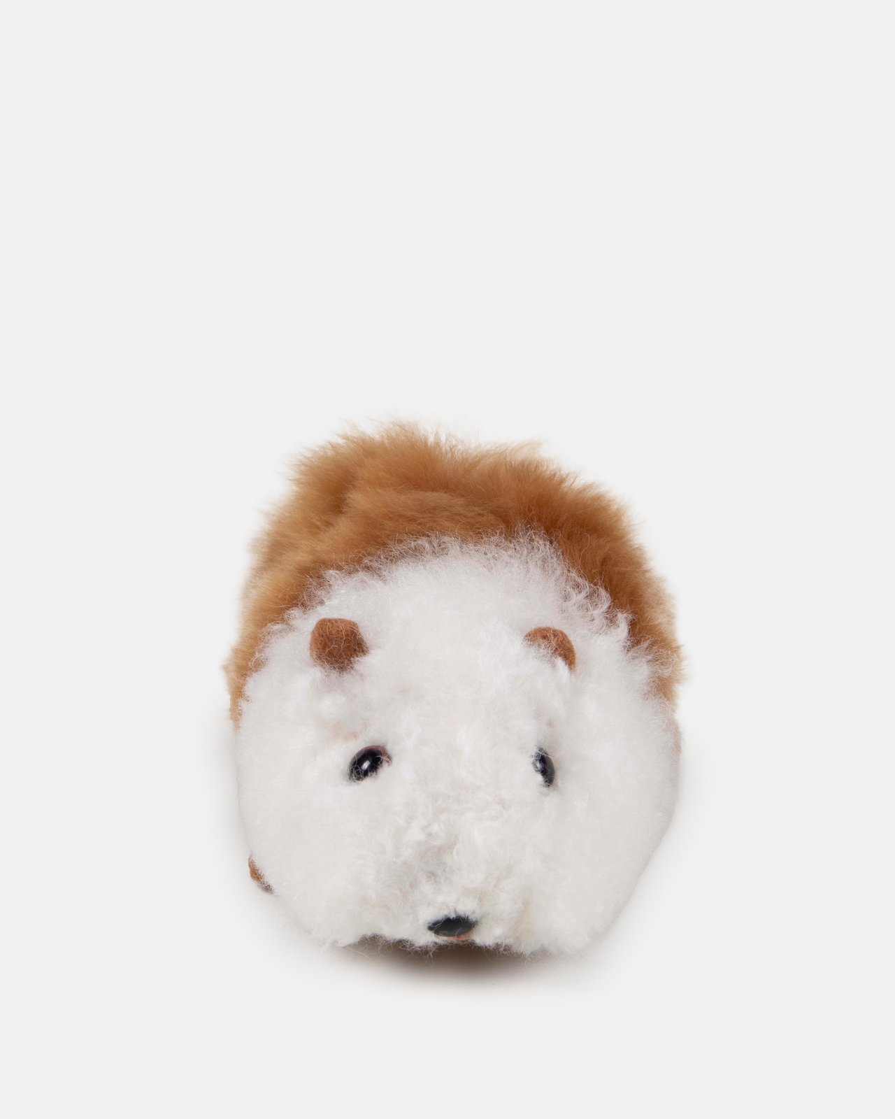 Alpaca Guinea Pig