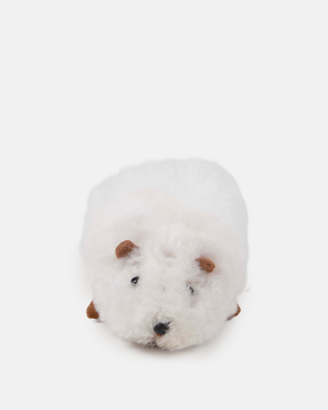 Alpaca Guinea Pig