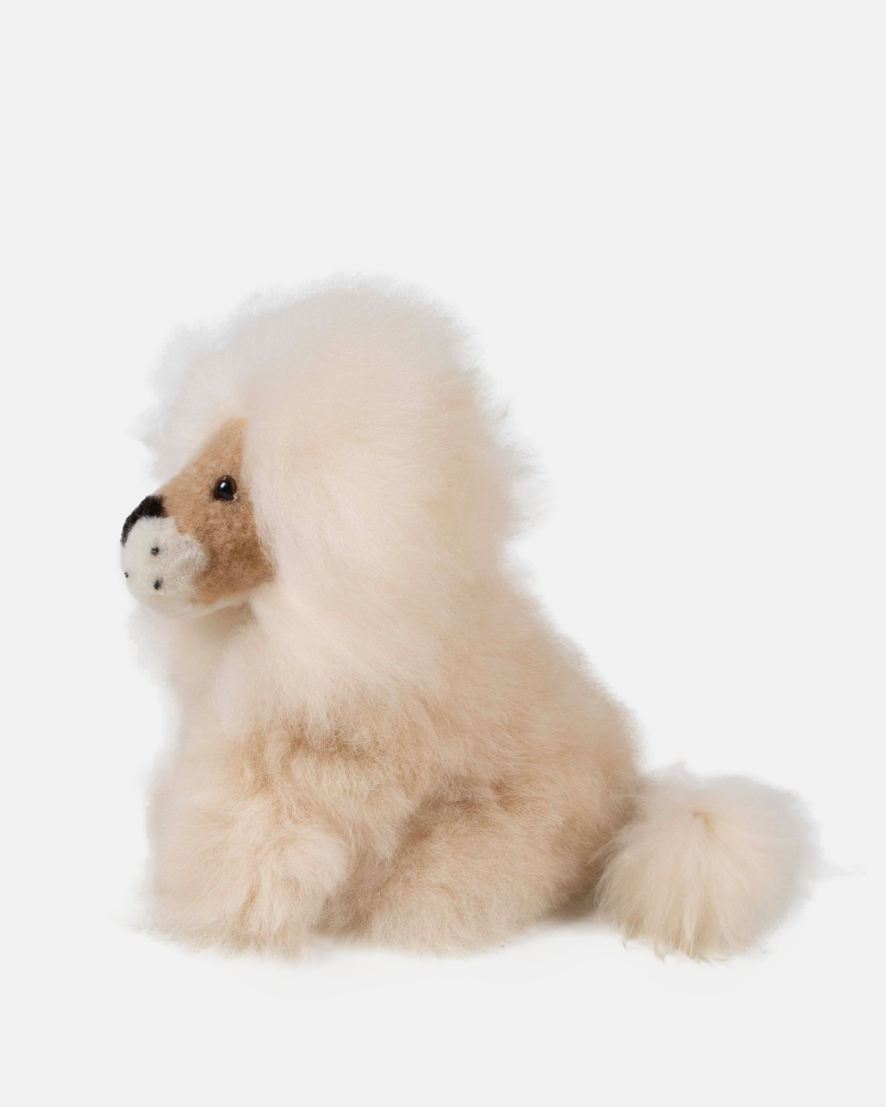 Alpaca Lion Sitting