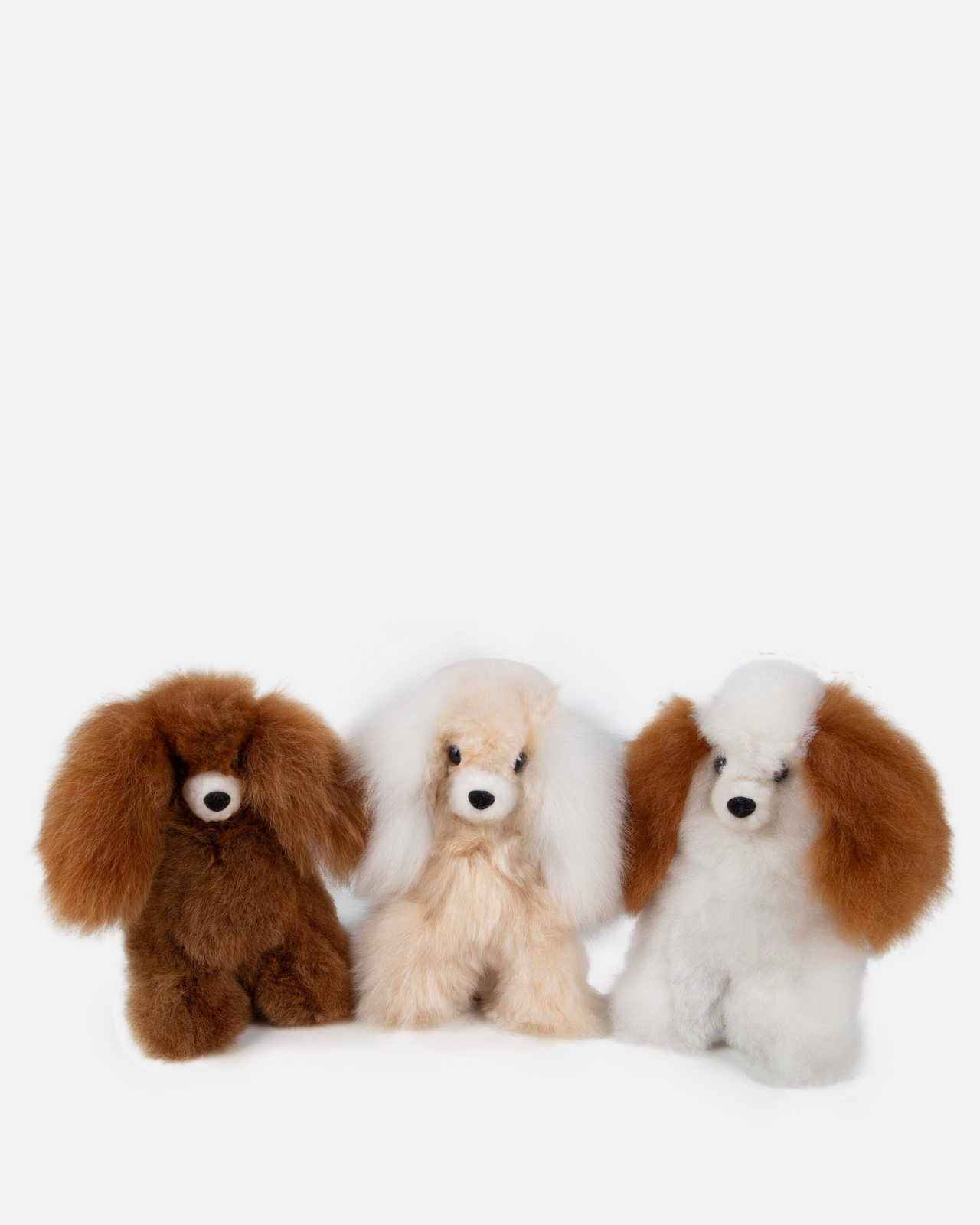 Alpaca Dog