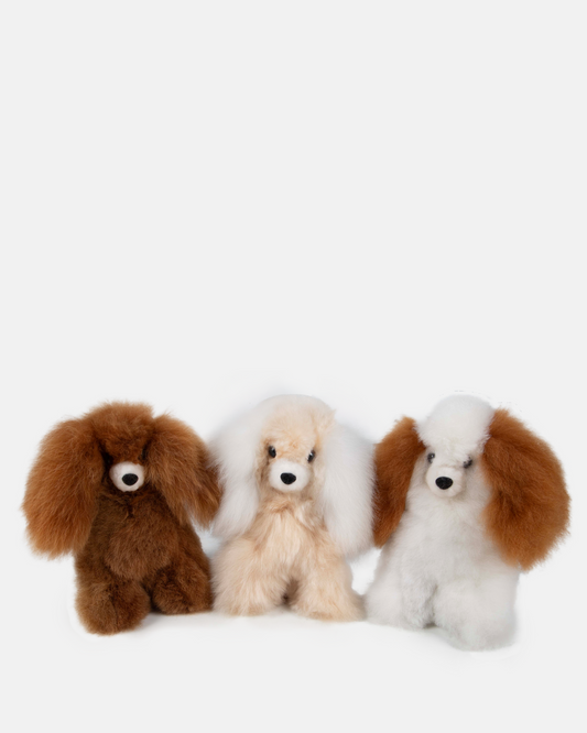 Alpaca Dog