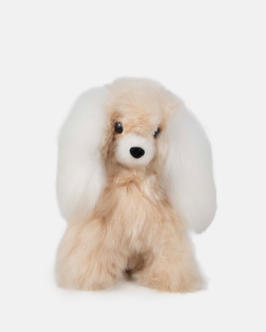 Alpaca Dog
